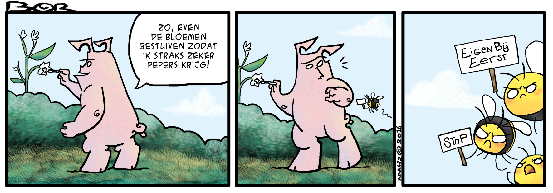 Bijzaak
